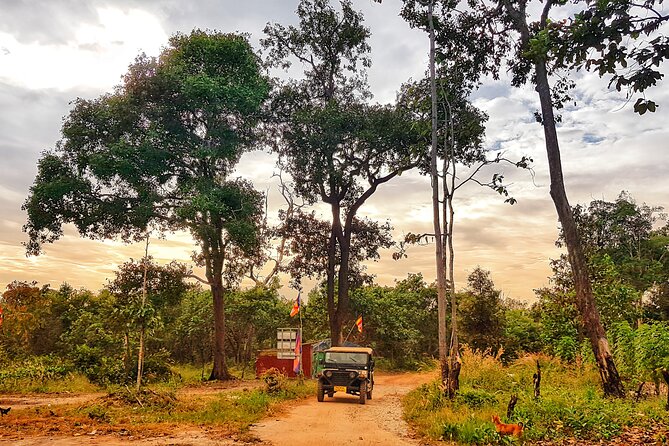 Magical Kulen Mountain by Cambodiajeep - Kulen Waterfall: bring your bathing suit