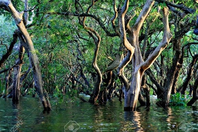 Mechrey Floating Village Tour & Mangrove from Siem Reap - Lotus, ducks, fish, and crocodiles