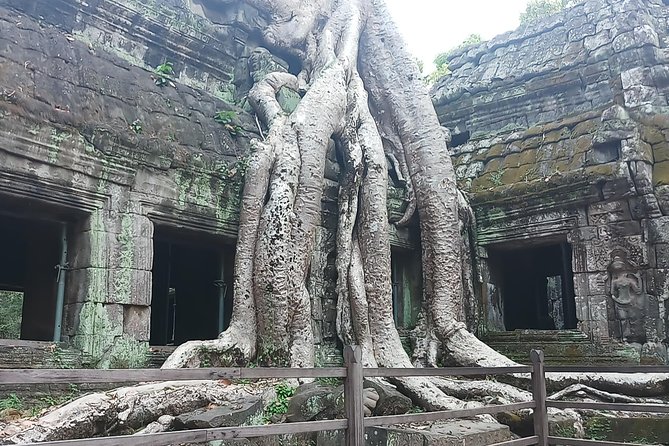 One day Angkor temple tour with private driver - Who Should Book This Experience