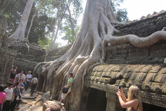 One Day Angkor World Heritage Tour - Bayon and the famous stone faces