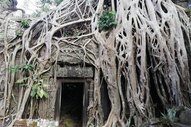 One Day Angkor World Heritage Tour - Ta Prohm, where the jungle meets the ruins