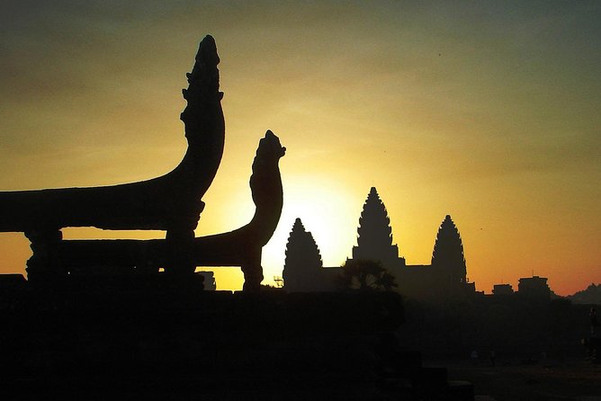 One Day tour with sunrise in car with A/C or Van & Guide. - Ta Prohm and the power of ruins