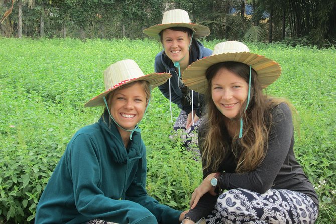 Ox-cart Culture Tour, Countryside Experince in Siem Reap - Booking, weather, and cancellation details