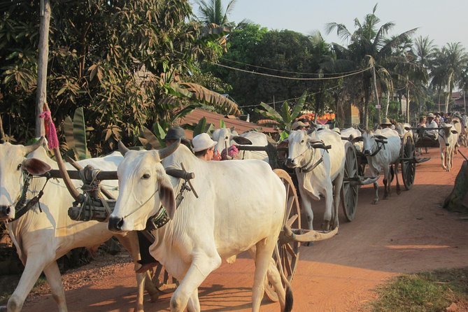 Ox-cart Culture Tour, Countryside Experince in Siem Reap - Chreav market: a useful start to the visit