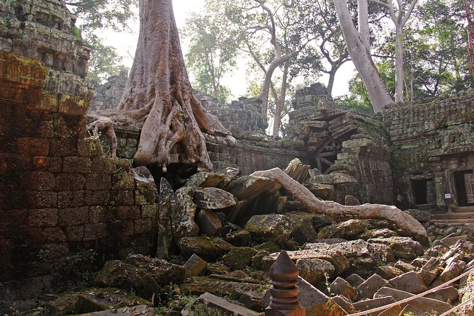 Personalised Angkor Wat Day Tour by an Air-conditioned Car - Who will get the most from this Angkor route
