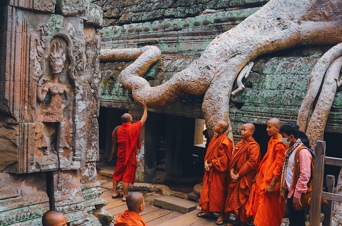 Personalised Angkor Wat Sunrise Tour by TukTuk - Guides, drivers, and the human side of the morning