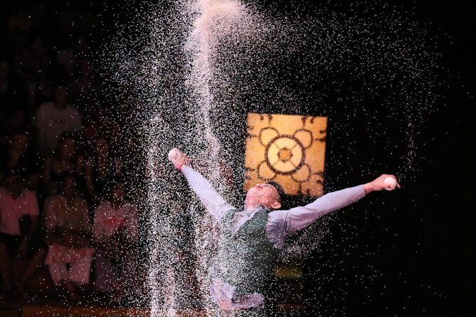 Phare: The Cambodian Circus Show in Siem Reap - Is $18 a good value?