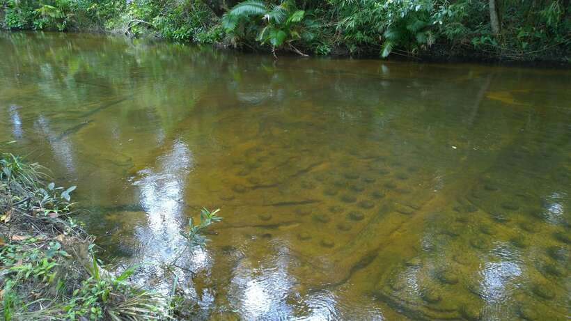 Phnom Kulen National Park Admission Ticket - The Reclining Buddha begins the cultural side of the visit