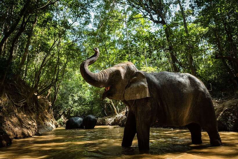 Phnom Kulen Park: Tour with Elephant Forest from Siem Reap - A quiet start in Phum Preah Dak
