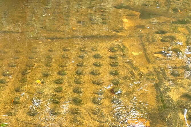 Phnom Kulen Waterfall and Banteay Srei Temple Tour from Siem Reap - Banteay Srei’s small scale and fine stonework