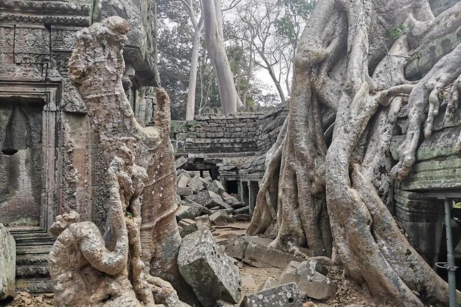 Preah Khan, Ta Prohm, Bayon Off Beaten Track - Preah Khan, the spacious first stop