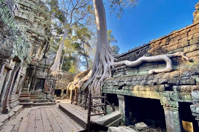 Preah Khan, Ta Prohm, Bayon Off Beaten Track - Ta Prohm and the trees everyone remembers