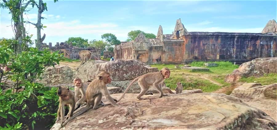 Preah Vihear Temple Koh Ker & BengMealea Tour from Siem Reap - My verdict on the full 11-hour route