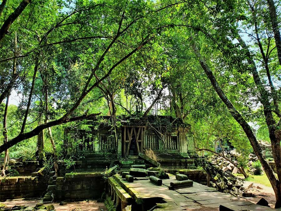 Preah Vihear Temple Koh Ker & BengMealea Tour from Siem Reap - Beng Mealea closes the temple circuit