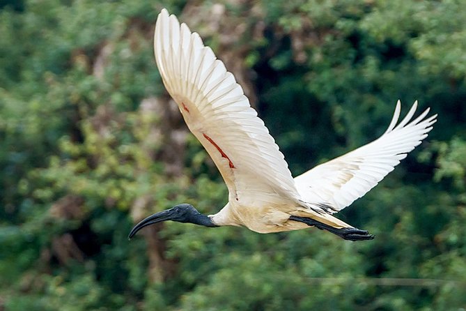Prek Toal Birds Sanctuary and floating Village Private Day Tour - Why Prek Toal is worth the long day