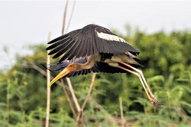 Prek Toal Birds Sanctuary and floating Village Private Day Tour - Is $170.05 per person good value?