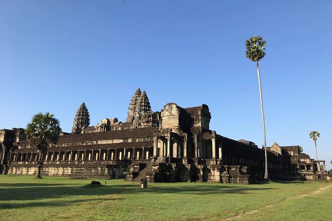 Private Angkor Sunrise Guided Tour - Ta Prohm, the temple under the trees