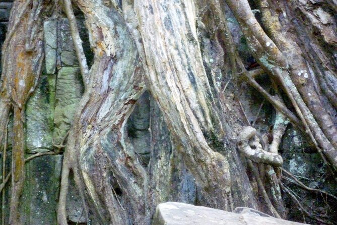 Private Angkor Wat Day Tour - Best of Angkor - The second Angkor Wat visit