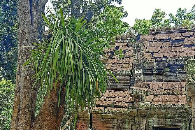 Private Angkor Wat Guided Sunset Tour - Phnom Bakheng brings the day to a close