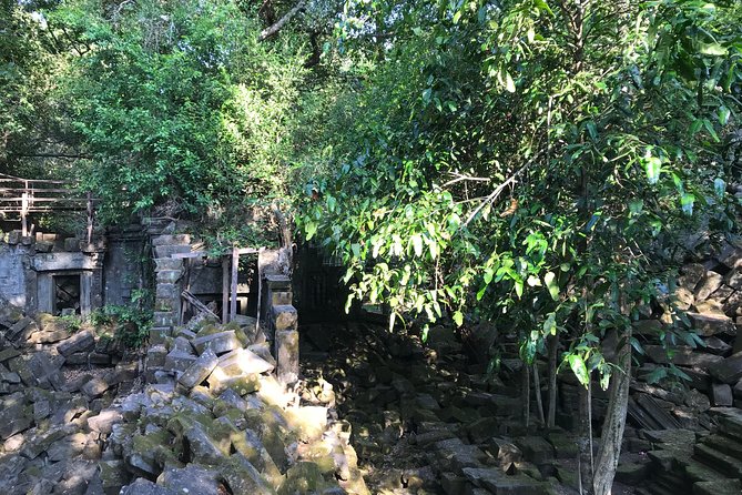 Private Beng Mealea Temple Tour – Hidden Jungle Ruins - Choosing between the 8 AM and 2 PM departure