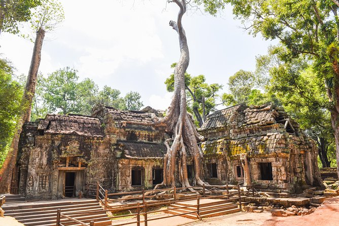 Private Full-Day Angkor Temple and Sunset Viewing with Lunch - Ta Prohm and the trees over the ruins