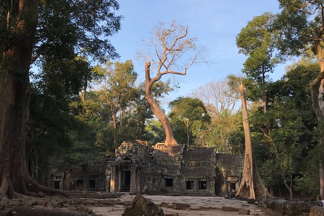 Private Guided Angkor Wat Tour by Lady Tuk Tuk with Monk Blessing - Is $74 per person a fair value?