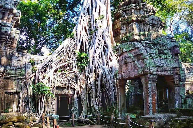 Private Guided Tours-Sunrise Angkor Wat, Ta Prohm, Bayon and more - The Terrace of the Elephants shows royal ceremony