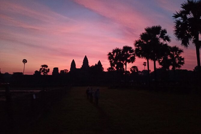 Private One Day Tour with Sunrise at Angkor Wat - Ta Prohm brings a different kind of atmosphere