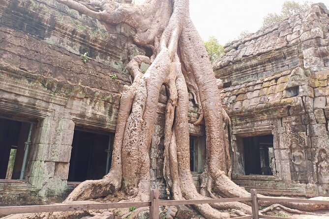 Private One Day Trip-The Best Experience in Siem Reap - Angkor Wat and the day’s grand finale
