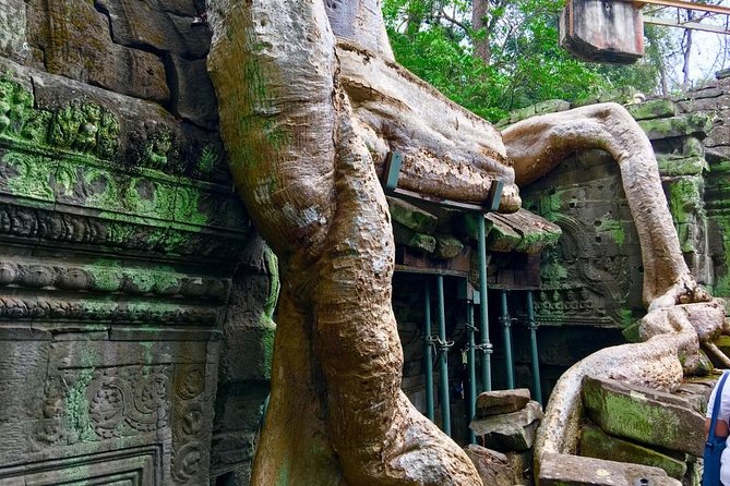 Private Siem Reap 4 Days: Full Exploration of the Angkor Complex - What the $375.06 price includes