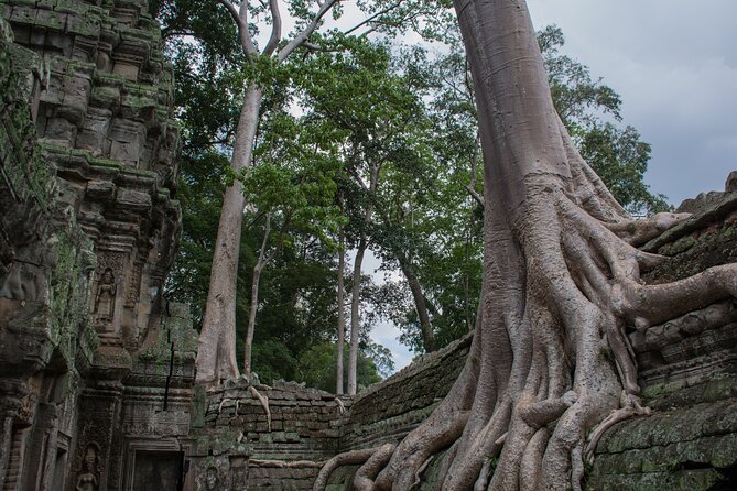 Private Siem Reap Airport Transfer to hotel in town - Meeting your driver at Exit Gate 1
