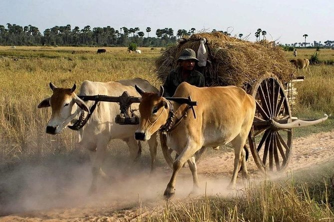 Private Siem Reap Quad Bike Adventure - Key things to know before you ride