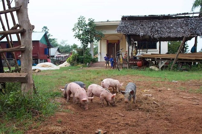 Private Siem Reap Quad Bike Adventure - Prasat Prei Monti and the temple option