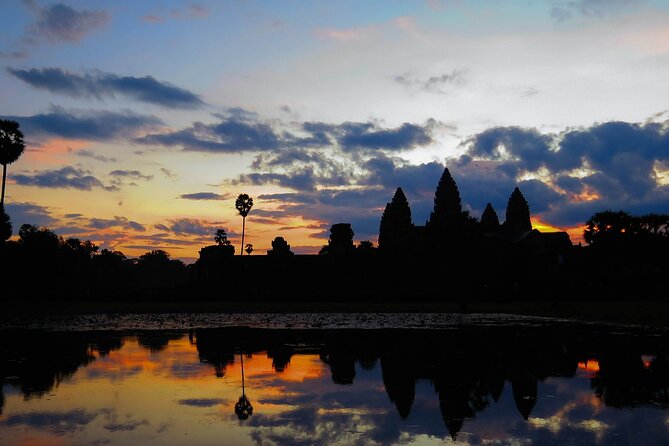 Private Sunrise & Angkor Complex by English Speaking Van Driver - Ta Prohm, where the trees take over