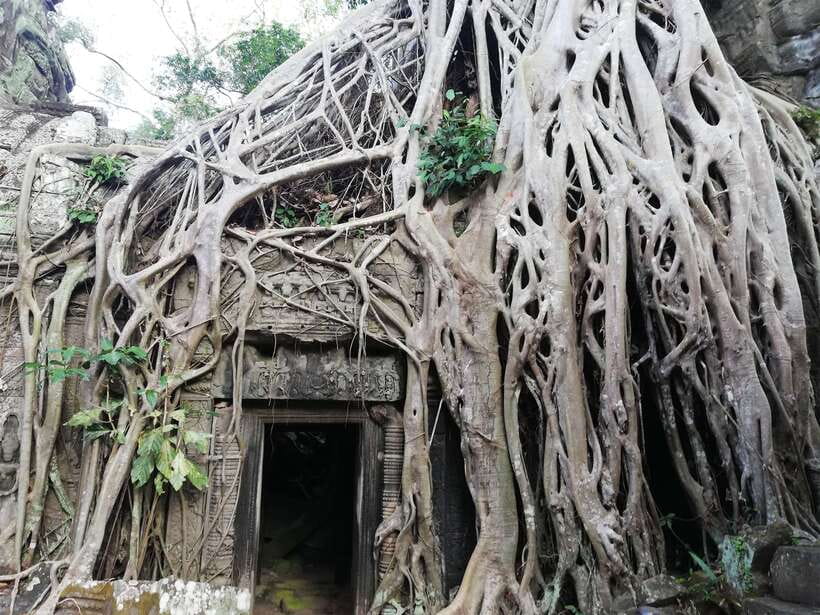 Private Sunrise Angkor Wat Tour - Why the sunrise at Angkor Wat is worth the early start