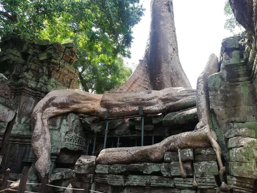 Private Sunrise Angkor Wat Tour - Who should book this eight-hour tour?