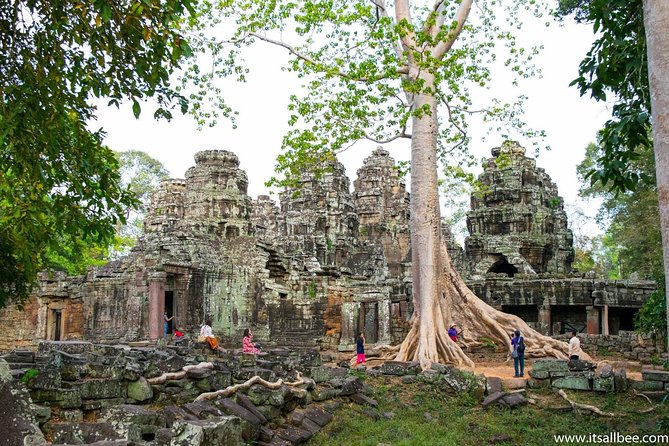 Private sunrise 'small tour' of Angkor Wat with car or van & Guide - Ta Prohm and the Tomb Raider effect