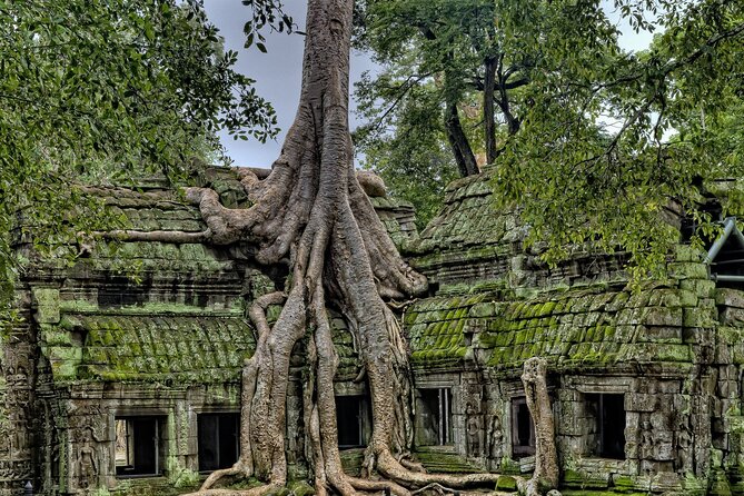 Private sunrise tour to Angkor Wat & other highlights with Professional Guide. - Why this sunrise route works