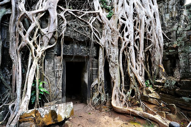Private Temples Guided Tour (Angkor Wat, Ta Prom & Angkor Thom) - Bayon’s stone faces