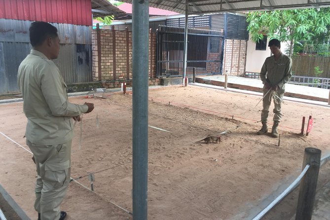 Private Tour: HERO Rats & Angkor National Museum - What the private format adds