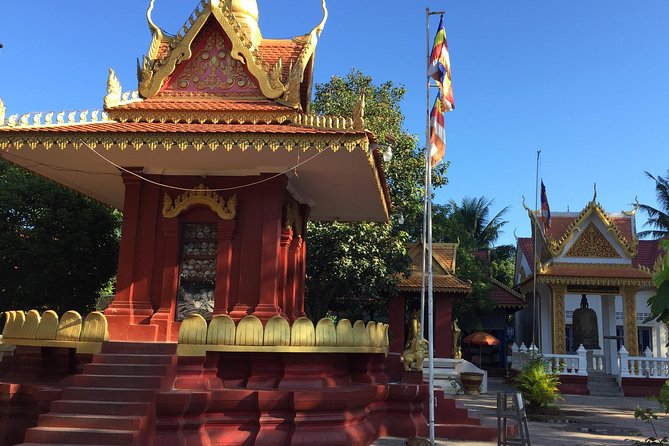 Private Tour: HERO Rats & Angkor National Museum - Morning or afternoon departure?