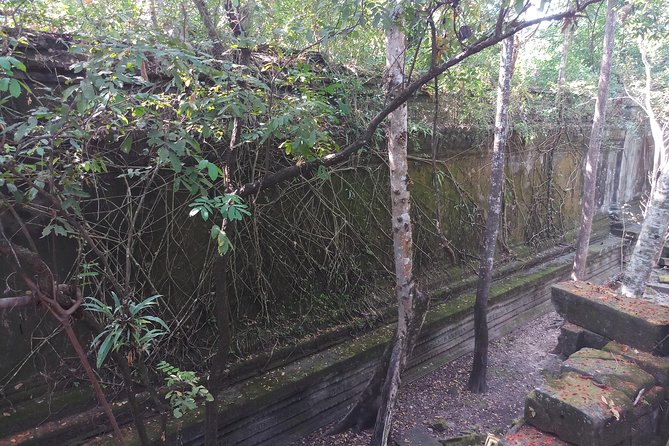 Private Tour to Beng Mealea Jungle Temple and Koh Ker - What makes Sopheak useful as a guide