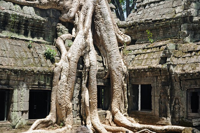 Private Tuk Tuk Tour to Angkor Wat and Small Circle with Two Extras - Banteay Kdei and Ta Prohm, the day’s major ruins
