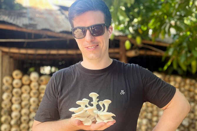 Rural Countryside Experience Tour in Siem Reap - Rice fields, animals, and the value of slowing down