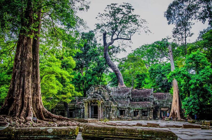 Seat-In-Coach: Small Circuit tour with Sunrise at Angkor Wat - Final Verdict: A Strong First Morning at Angkor