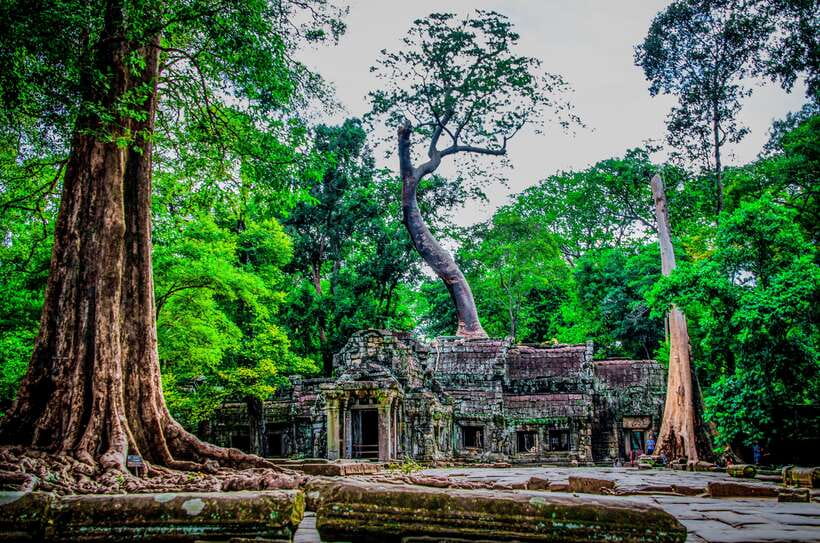 Seat-In-Coach: Small Circuit tour with Sunrise at Angkor Wat - Ta Prohm and the Tomb Raider Connection