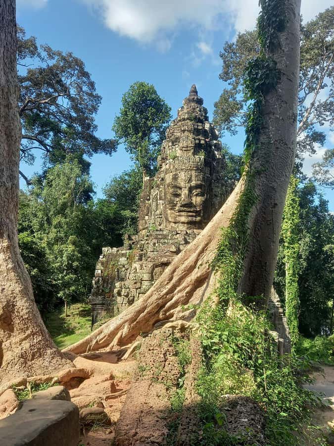 Shared day tour with Spanish-speaking guide at Angkor Temple. - Key points to know before booking