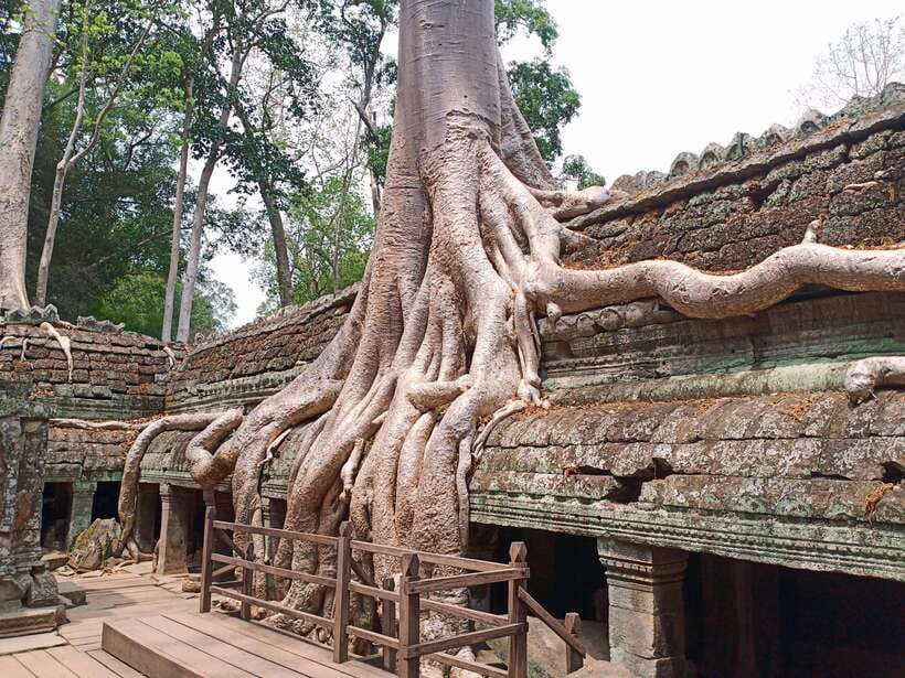 Sharing Trip to Angkor Temple with sunset - Angkor Wat: start with Cambodia’s great symbol