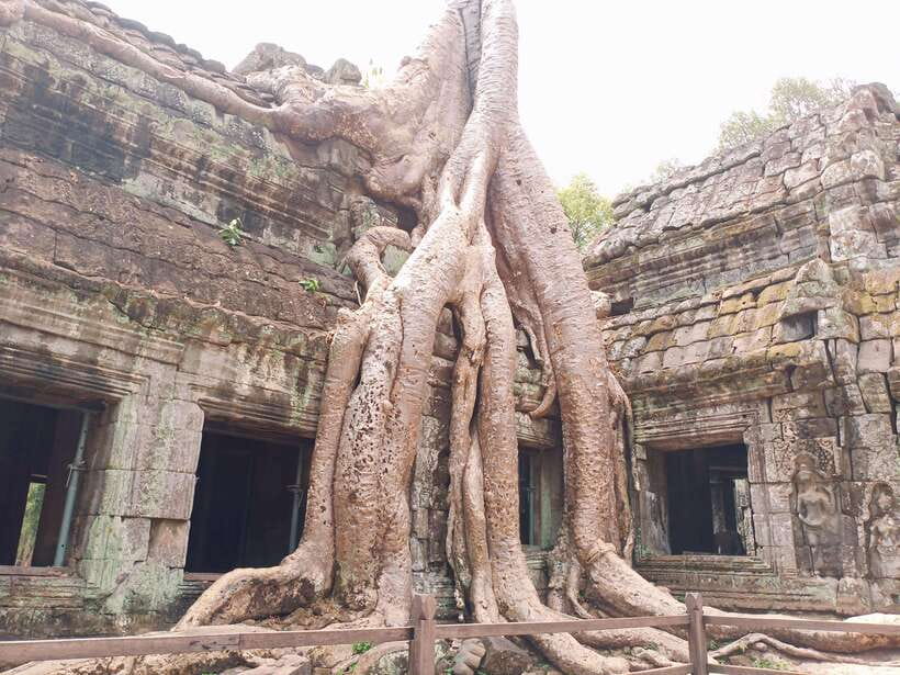 Sharing Trip to Angkor Temple with sunset - Who should book this Angkor day?
