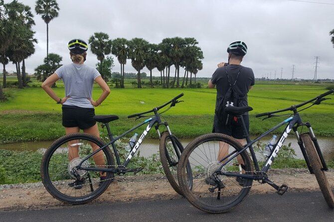 Short Cycling at Countryside - Rice fields, cows, and the farming year